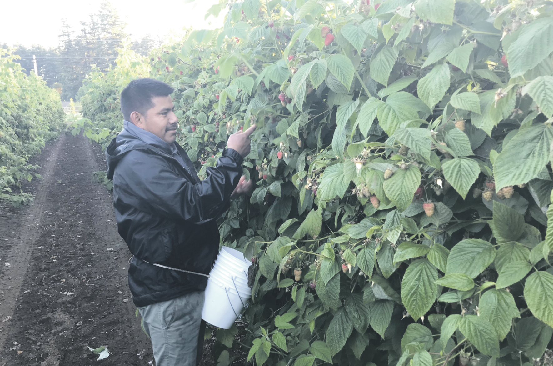 farmworkers1